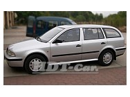 Ochranné lišty Škoda Ocatvie I 96R